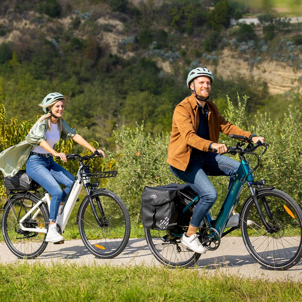 Fiido C11 City E-Bike - Image 6