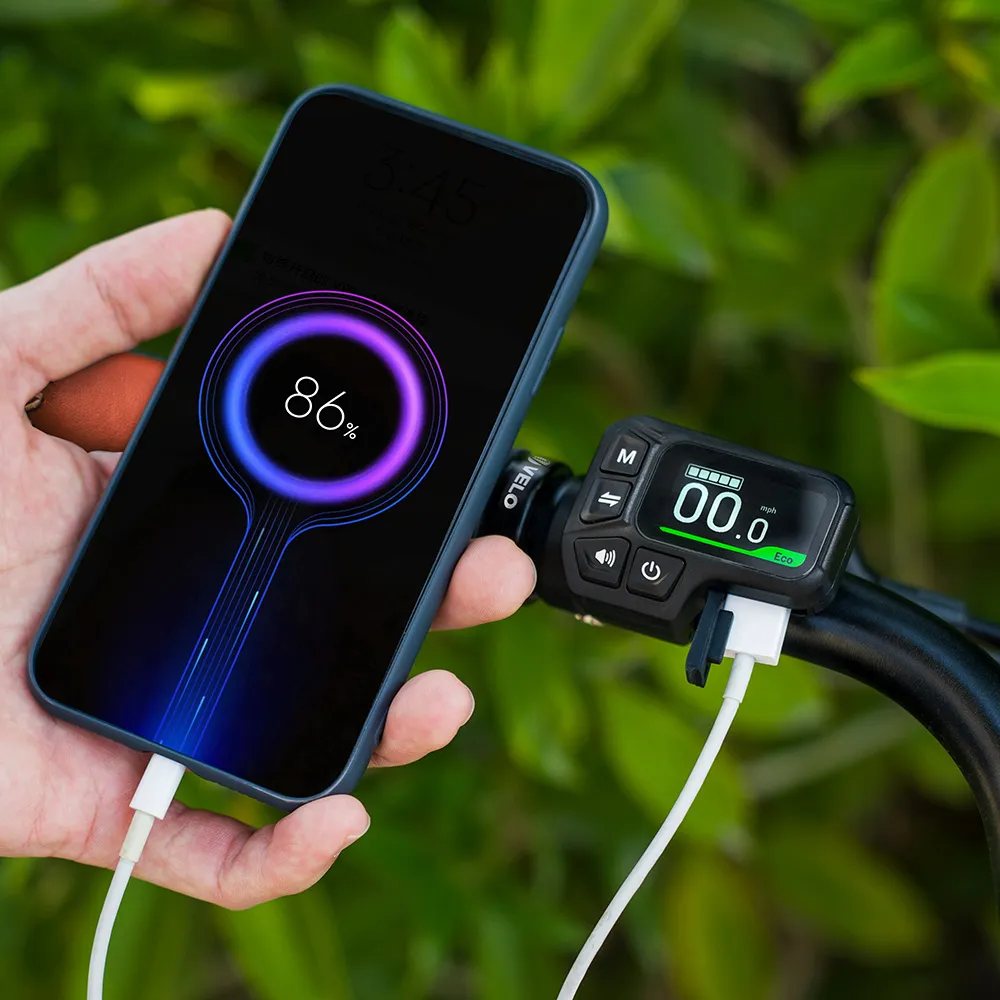 Fiido C11 Pro: Lightweight, 65 miles Long Range, IP54 Waterproof - Image 6
