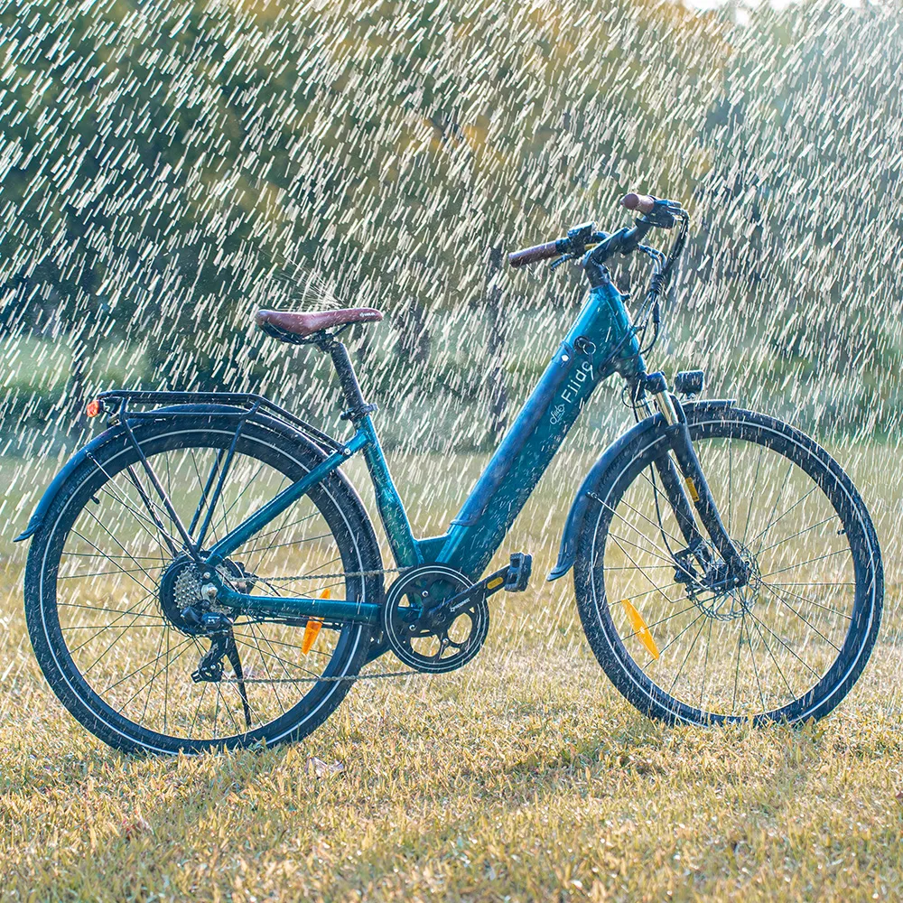 Fiido C11 Pro: Lightweight, 65 miles Long Range, IP54 Waterproof - Image 7
