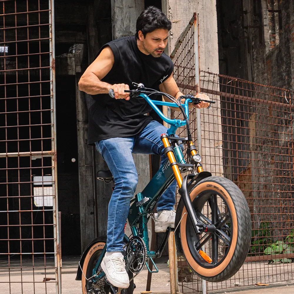 Fiido M1 Pro Fat Tire Electric Bike - Image 11