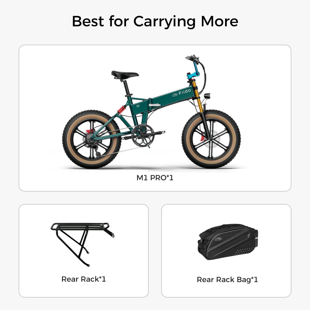 Fiido M1 Pro Fat Tire Electric Bike - Image 12