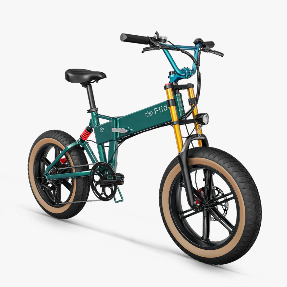 Fiido M1 Pro Fat Tire Electric Bike - Image 9
