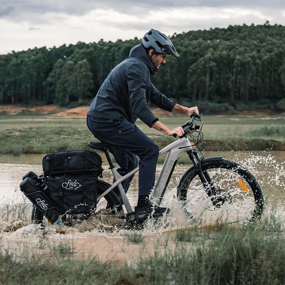 Fiido Nomads Touring E-bike - Image 6