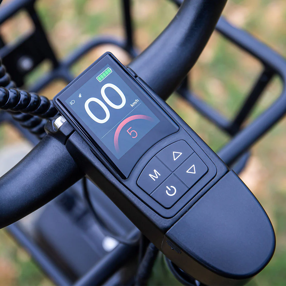 Fiido T1 Pro Utility Electric Bike - Image 11