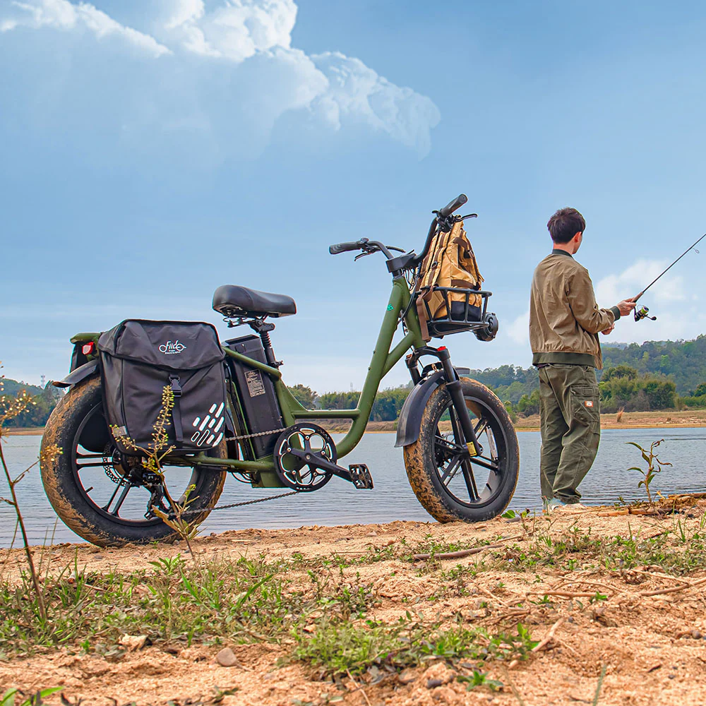 Fiido T1 Pro Utility Electric Bike - Image 5