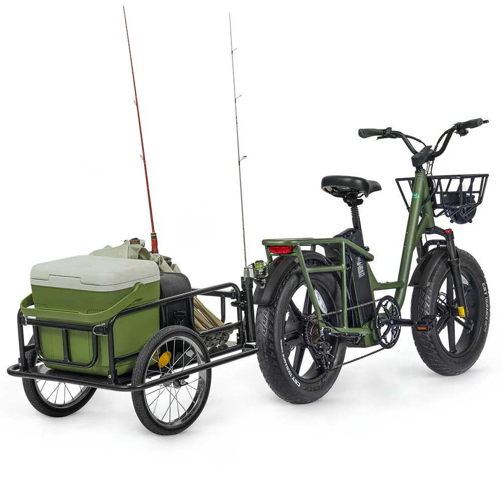 Fiido T1 Pro Utility Electric Bike - Image 9