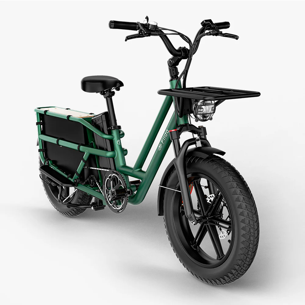 Fiido T2 Longtail Cargo E-bike - Image 10