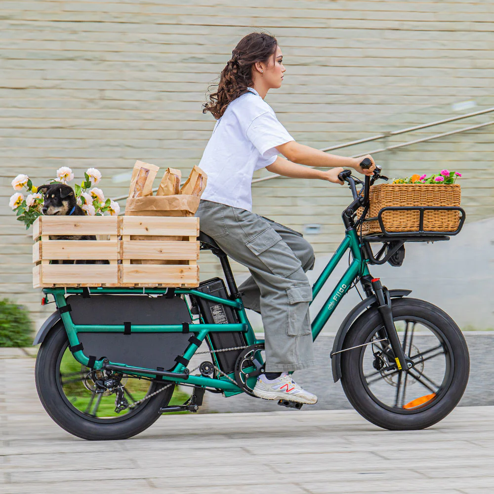 Fiido T2 Longtail Cargo E-bike - Image 4